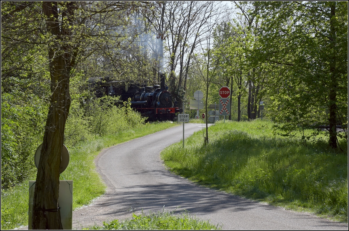 Chemin de Fer Touristique du Rhin, das Kleinod im Auwald bei Neu-Breisach.

Fahrt zur Bereitstellung in Sans Souci. Zugmaschine ist die Elsässerin 030 TB 134. Biesheim, April 2019.