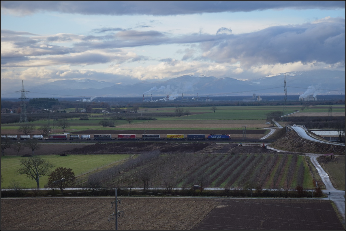 Eine SBB Cargo Re 482 zieht vor den Weinbergen in Auggen vorbei. November 2021.