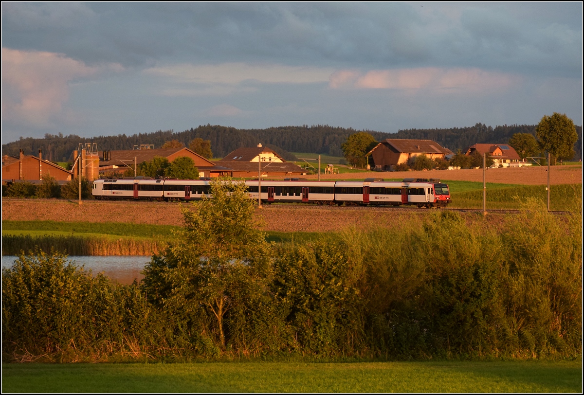 RBDe 560 278 bei Egolzwil. August 2021.