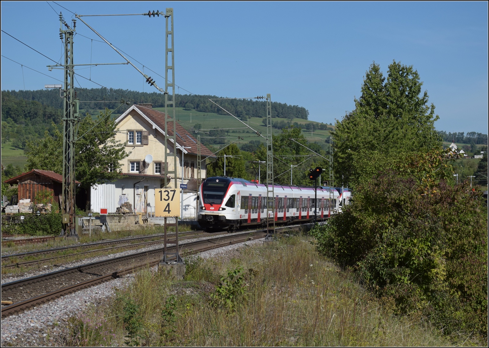 In Erwartung des Rössles kommt zuerst der Wochenend-RE mit den Wiesentälern RABe 521 006 und RABe 521 009 durch Welschingen gefahren. September 2023.