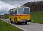saurer-3duk/843822/ostermontag-bei-der-emmentalbahnwenn-das-postauto Ostermontag bei der 'Emmentalbahn'.

Wenn das Postauto Zugverfolgung macht. Zwei historische Saurerbusse, mit und ohne Schnauze sind bei E 3/3 853 der JS erfolgreich... wenn ein bisschen nachgeholfen wird... Das hintere Fahrzeug ist ein Saurer 3DUK aus dem Jahr 1972. Riedboden, April 2024.