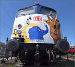 noerdlingen/884726/4-noerdlinger-eisenbahnfestnicht-jeder-blaue-plueschelefant 4. Nrdlinger Eisenbahnfest.

Nicht jeder blaue Plschelefant darf das. Weil es so schn war, am Nachmittag nochmal auf der Elefantenlok sitzen und den 50. Geburtstag des blauen Elefanten feiern. Der wrdige Sitzplatz war 110 469. Nrdlingen, Juni 2025.