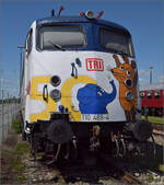 noerdlingen/884729/4-noerdlinger-eisenbahnfestnicht-jeder-blaue-plueschelefant 4. Nrdlinger Eisenbahnfest.

Nicht jeder blaue Plschelefant darf das. Weil es so schn war, am Nachmittag nochmal auf der Elefantenlok sitzen und den 50. Geburtstag des blauen Elefanten feiern. Der wrdige Sitzplatz war 110 469. Nrdlingen, Juni 2025.
