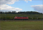 6-185-br-185-traxx-ac12/865302/markgraefler-land-vor-dem-fall-der Markgräfler Land vor dem Fall der Blätter.

185 106 bei Auggen. Oktober 2024.