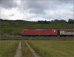 6-185-br-185-traxx-ac12/865325/markgraefler-land-vor-dem-fall-der Markgrfler Land vor dem Fall der Bltter.

185 104 bei Auggen. Oktober 2024.