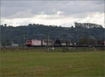 6-185-br-185-traxx-ac12/865331/markgraefler-land-vor-dem-fall-der Markgräfler Land vor dem Fall der Blätter.

185 104 bei Schliengen. Oktober 2024.