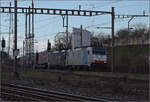 186 101 von Railpool und 193 710 'Werner Siemens' von Beacon Rail in Pratteln. März 2024.