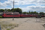 6-151-br-151/884715/4-noerdlinger-eisenbahnfestaus-der-schaukelpferdsammlung-im 4. Nrdlinger Eisenbahnfest.

Aus der Schaukelpferdsammlung im Gelnde der Bayernbahn: 151 106, 151 103 und 151 032. Nrdlingen, Juni 2025.