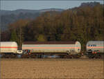 kbs-702-karlsruhe-offenburg-rheintalbahn/910870/die-abendstimmung-hat-laengst-eingesetzt-als Die Abendstimmung hat l�ngst eingesetzt als 185 270 mit einem Mischer bei H�gelheim nordw�rts vorbeizieht. Februar 2026.

Im Bild der Gaskesselwagen 33 RIV 80 D-VTG 7923 093-8 Zagkks der VTG. 