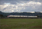 kbs-702-offenburg-basel-rheintalbahn/865311/markgraefler-land-vor-dem-fall-der Markgrfler Land vor dem Fall der Bltter.

Ein Giruno bei Schliengen, vermutlich RABe 501 007 'Uri'. Oktober 2024.