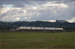 kbs-702-offenburg-basel-rheintalbahn/865312/markgraefler-land-vor-dem-fall-der Markgräfler Land vor dem Fall der Blätter.

Ein Giruno bei Schliengen, vermutlich RABe 501 007 'Uri'. Oktober 2024.