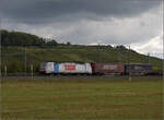 kbs-702-offenburg-basel-rheintalbahn/865353/markgraefler-land-vor-dem-fall-der Markgräfler Land vor dem Fall der Blätter.

Crossrail mit Leasinglok von Railpool 186 187 bei Schliengen. Oktober 2024.