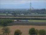 kbs-702-offenburg-basel-rheintalbahn/865456/markgraefler-land-vor-dem-fall-der Markgräfler Land vor dem Fall der Blätter.

186 428 von RTB Cargo bei Auggen. Oktober 2024.