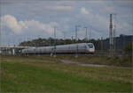 kbs-702-offenburg-basel-rheintalbahn/865468/markgraefler-land-vor-dem-fall-der Markgräfler Land vor dem Fall der Blätter.

'412 056' Tz 9456 bei Auggen. Oktober 2024.