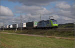 kbs-702-offenburg-basel-rheintalbahn/865472/markgraefler-land-vor-dem-fall-der Markgräfler Land vor dem Fall der Blätter.

Re 485 006 bei Auggen. Oktober 2024.