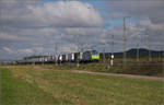 kbs-702-offenburg-basel-rheintalbahn/865473/markgraefler-land-vor-dem-fall-der Markgräfler Land vor dem Fall der Blätter.

Re 485 006 bei Auggen. Oktober 2024.