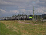 kbs-702-offenburg-basel-rheintalbahn/865474/markgraefler-land-vor-dem-fall-der Markgräfler Land vor dem Fall der Blätter.

Re 485 006 bei Auggen. Oktober 2024.