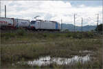 kbs-702-offenburg-basel-rheintalbahn/865476/markgraefler-land-vor-dem-fall-der Markgräfler Land vor dem Fall der Blätter.

186 499 von Railpool bei Auggen. Oktober 2024.