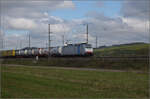 kbs-702-offenburg-basel-rheintalbahn/865479/markgraefler-land-vor-dem-fall-der Markgräfler Land vor dem Fall der Blätter.

186 499 von Railpool bei Auggen. Oktober 2024.