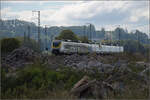 kbs-702-offenburg-basel-rheintalbahn/865483/markgraefler-land-vor-dem-fall-der Markgräfler Land vor dem Fall der Blätter.

463 083 und 463 009 bei Auggen. Oktober 2024.