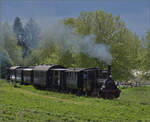 Kandertalbahn im Frhjahr.

Nebeneisenbahn-Museumszug mit Lok 30 bei Rmmingen. Mai 2024.