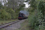 tb-030/869785/im-elsaesser-ried-mit-der-cftr030 Im Elsässer Ried mit der CFTR.

030 TB 134 'Theodor' trifft an der Haltestelle Sans-Souci ein. Artzenheim, September 2024.