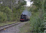 tb-030/869803/im-elsaesser-ried-mit-der-cftr030 Im Elsässer Ried mit der CFTR.

030 TB 134 'Theodor' trifft an der Haltestelle Sans-Souci ein. Baltzenheim, September 2024.