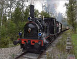 tb-030/869805/im-elsaesser-ried-mit-der-cftr030 Im Elsässer Ried mit der CFTR.

030 TB 134 'Theodor' bei Baltzenheim. September 2024.
