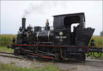 tb-030/869816/im-elsaesser-ried-mit-der-cftr030 Im Elsässer Ried mit der CFTR.

030 TB 134 'Theodor' bei Kunheim. September 2024.