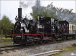 tb-030/869834/im-elsaesser-ried-mit-der-cftr030 Im Elssser Ried mit der CFTR.

030 TB 134 'Theodor' vor Georgia Pacific bei Kunheim. September 2024.