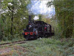 tb-030/869842/im-elsaesser-ried-mit-der-cftr030 Im Elsässer Ried mit der CFTR.

030 TB 134 'Theodor' im Wald bei Biesheim. September 2024.