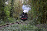 tb-030/869843/im-elsaesser-ried-mit-der-cftr030 Im Elsässer Ried mit der CFTR.

030 TB 134 'Theodor' im Wald bei Biesheim. September 2024.