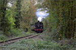 tb-030/869844/im-elsaesser-ried-mit-der-cftr030 Im Elsässer Ried mit der CFTR.

030 TB 134 'Theodor' im Wald bei Biesheim. September 2024.