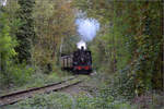 tb-030/869845/im-elsaesser-ried-mit-der-cftr030 Im Elsässer Ried mit der CFTR.

030 TB 134 'Theodor' im Wald bei Biesheim. September 2024.