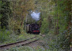tb-030/869846/im-elsaesser-ried-mit-der-cftr030 Im Elsässer Ried mit der CFTR.

030 TB 134 'Theodor' im Wald bei Biesheim. September 2024.