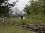 tb-030/869937/im-elsaesser-ried-mit-der-cftrabfahrt Im Elsässer Ried mit der CFTR.

Abfahrt von 030 TB 134 'Theodor' aus dem in Volgelsheim umbenannten 'Neu-Breisacher Feldbahnhof'. Volgelsheim, September 2024.