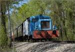 036/759463/chemin-de-fer-touristique-du-rhin Chemin de Fer Touristique du Rhin, das Kleinod im Auwald bei Neu-Breisach.

Fahrt zur Bereitstellung in Sans Souci. LKM V 22 Nr. 262411 schiebt nach. Kunheim, April 2019.