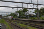 e-33-3/879762/brauereifest-feldschloesschender-sandwichzug-mit-e-22 Brauereifest Feldschlösschen.

Der Sandwichzug mit E 2/2 8666 'Chnurrli' und E 3/3 8512 auf Pendelfahrt Rheinfelden-Feldschlösschen. April 2025.