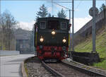 ed-33-10/844361/zu-den-ostereiern-im-sihlwalde-33 Zu den Ostereiern im Sihlwald.

E 3/3 5 'Schnaaggi Schaaggi' der Sihlthalbahn in der Sihlau. März 2024.