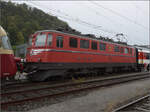 4-610-ae-610-ae-66-9/840347/depotfest-olten-2023-ae-66-11425 Depotfest Olten 2023. 

Ae 6/6 11425 'Genve'. August 2023.