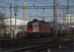 Re 620 024 'Oensingen' in Pratteln. März 2024.