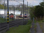 ic-2020-6/847801/ic-2020-geschoben-von-re-460 IC 2020, geschoben von Re 460 029 'Eulach' in Erlen. April 2024.