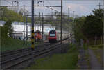 ic-2020-6/847802/ic-2020-geschoben-von-re-460 IC 2020, geschoben von Re 460 029 'Eulach' in Erlen. April 2024.