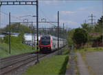 ic-2020-6/847807/ic-2020-geschoben-von-re-460 IC 2020, geschoben von Re 460 094 'Rätia' in Erlen. April 2024.