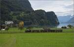 g-34-sbb-14/802193/ballenberg-dampfbahn-nach-innertkircheng-34-208 Ballenberg Dampfbahn nach Innertkirchen.

G 3/4 208 entlang in Lauimatten am Ende des Brienzer Sees. Oktober 2019. 