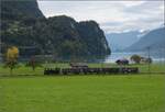 g-34-sbb-14/802194/ballenberg-dampfbahn-nach-innertkircheng-34-208 Ballenberg Dampfbahn nach Innertkirchen.

G 3/4 208 entlang in Lauimatten am Ende des Brienzer Sees. Oktober 2019. 