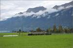 g-34-sbb-14/802195/ballenberg-dampfbahn-nach-innertkircheng-34-208 Ballenberg Dampfbahn nach Innertkirchen.

G 3/4 208 verlässt das Ufer des Brienzer Sees beim gleichnamigen Ort. Oktober 2019. 
