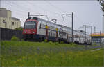 RABe 514 024 bei Frauenfeld. April 2024.