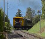 742-uerikon-hinwil-bauma-uebb-sbb-st/753561/fahrtag-dvzo-mit-120-jaehriger-ladyzugschluss-in Fahrtag DVZO mit 120-jähriger Lady.

Zugschluss in Hinwil. Oktober 2021.