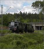 045-25/777767/fahrtag-der-trossinger-eisenbahn-am-pfingstmarkt Fahrtag der Trossinger Eisenbahn am Pfingstmarkt 2022.